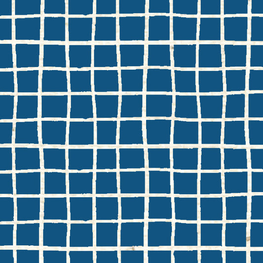 Blueberry Pie Doodle Graph Cardstock 37-103