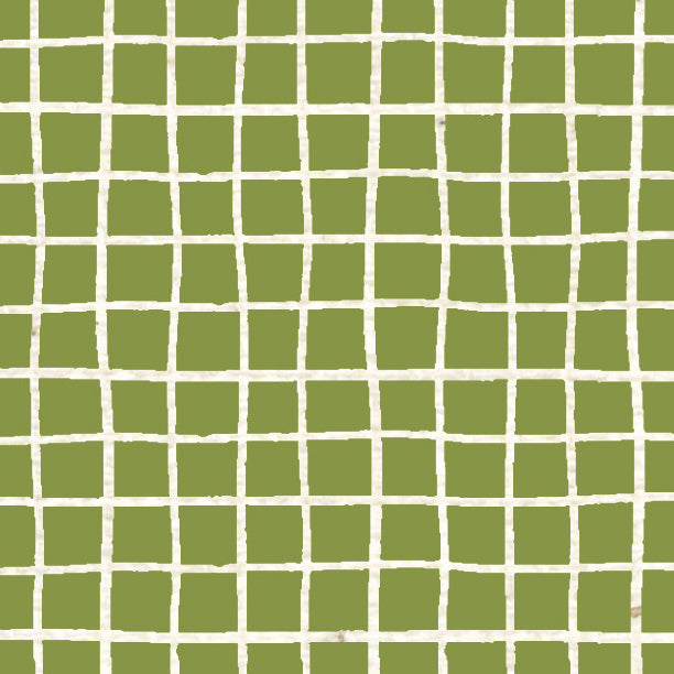 Inch Worm Doodle Graph Cardstock 37-103