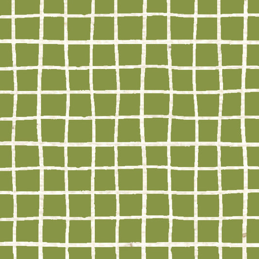 Inch Worm Doodle Graph Cardstock 37-103