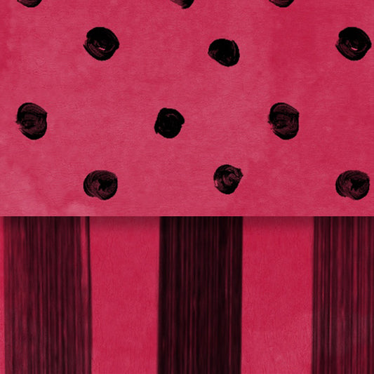 Red Wagon Lady Bug Dots & Stripes Double Sided Cardstock 29-105