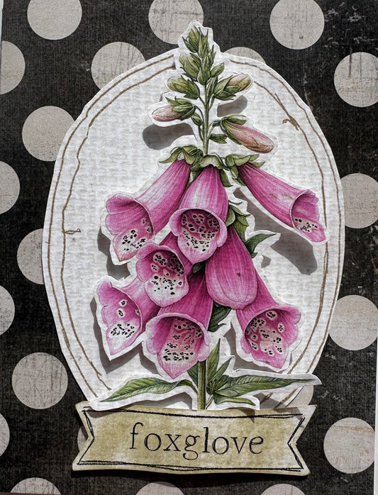 Foxglove Card Idea