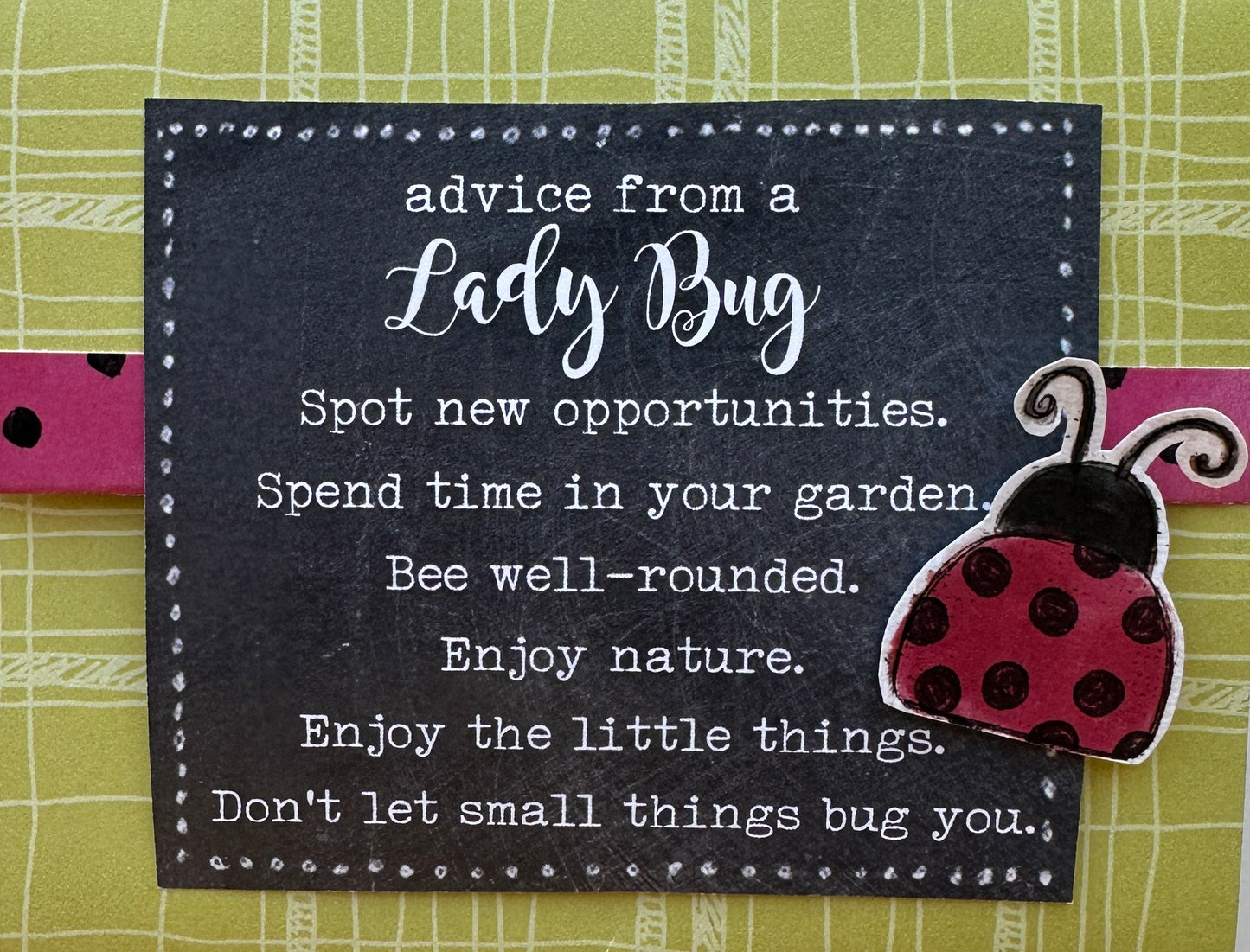 Advice from a Lady Bug Handmade Card Idea