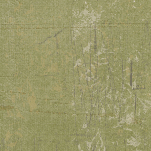 Inch Worm Grungy Chalky Solid Cardstock
