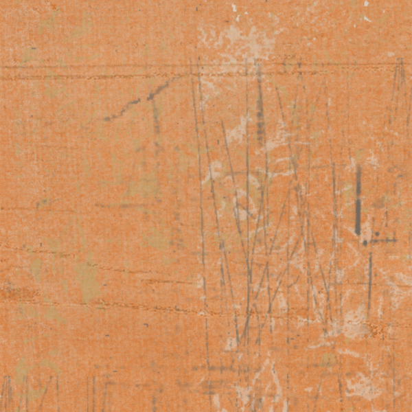 Orange Poppy Grungy Chalky Solid Cardstock