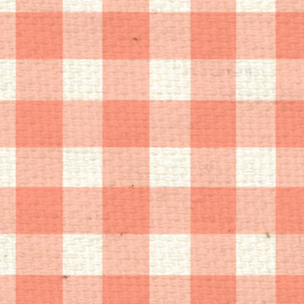 PNCG8 Peaches 'n Cream Gingham Paper 8 1/2 x 11