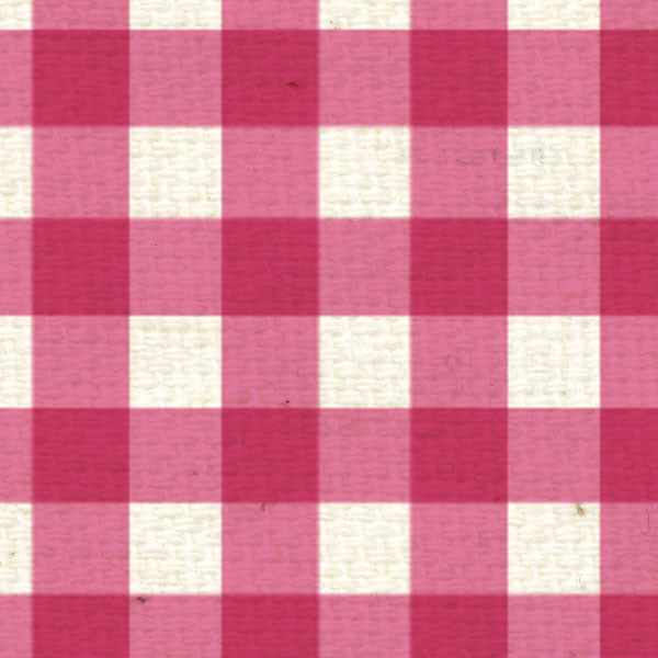 PCG8  Pink Cosmos Gingham 8 1/2 x 11