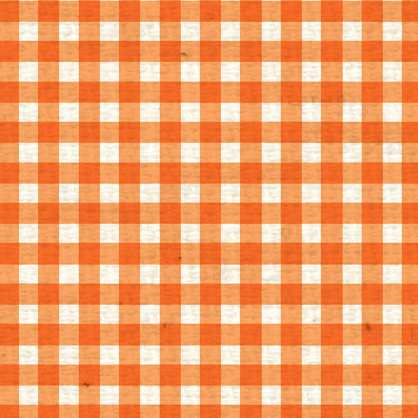 OPMG8 Orange Poppy Mini Gingham 8 1/2 x 11
