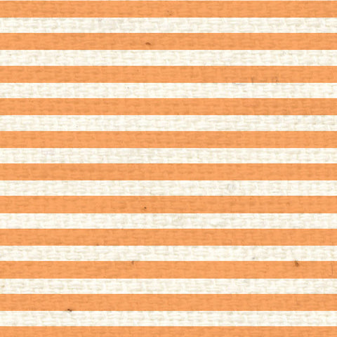 *OPMS8  Orange Poppy Mini Stripes 8 1/2 x 11
