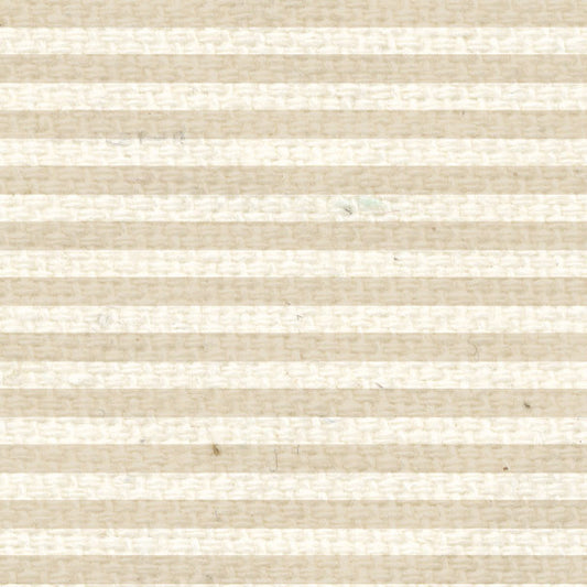 BABMS8  Baby's Breath Mini Stripes  8 1/2 x 11