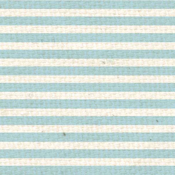 FBMS8  French Blue Mini Stripes  8 1/2 x 11