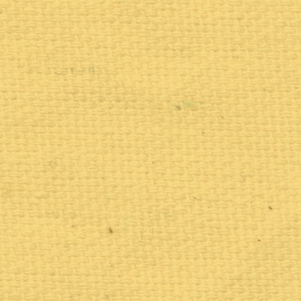 DLS8  Daylily Solid Paper  8 1/2 x 11