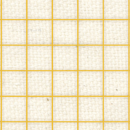 DLGR8  Daylily Graph Paper  8 1/2 x 11