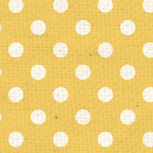 DLPD8  Daylily Polka Dots Paper  8 1/2 x 11