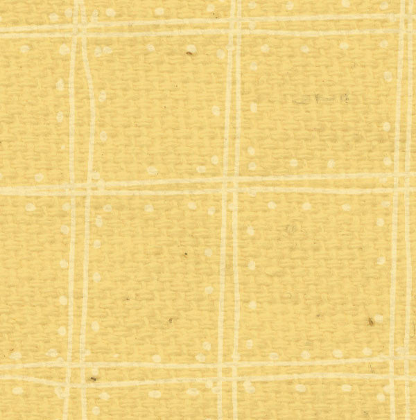 DLDP8 Daylily Doodle Plaid Paper 8 1/2 x 11