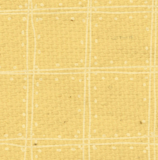 DLDP8  Daylily Doodle Plaid Paper  8 1/2 x 11