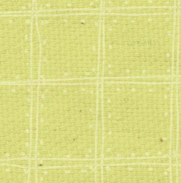 SPDP8  Sweet Pea Doodle Plaid Paper  8 1/2