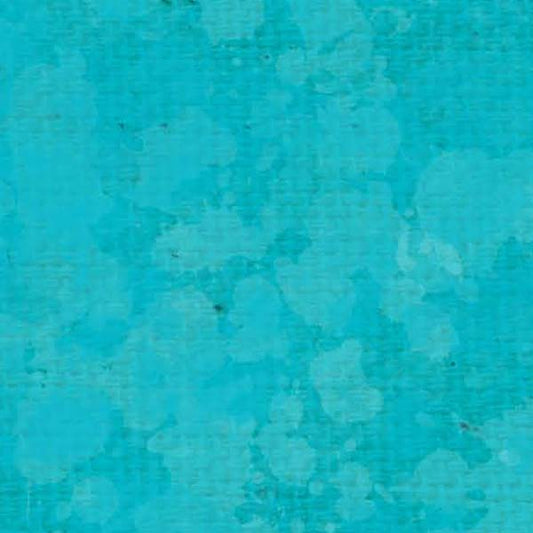 SCSBLB - Bluebird Splash