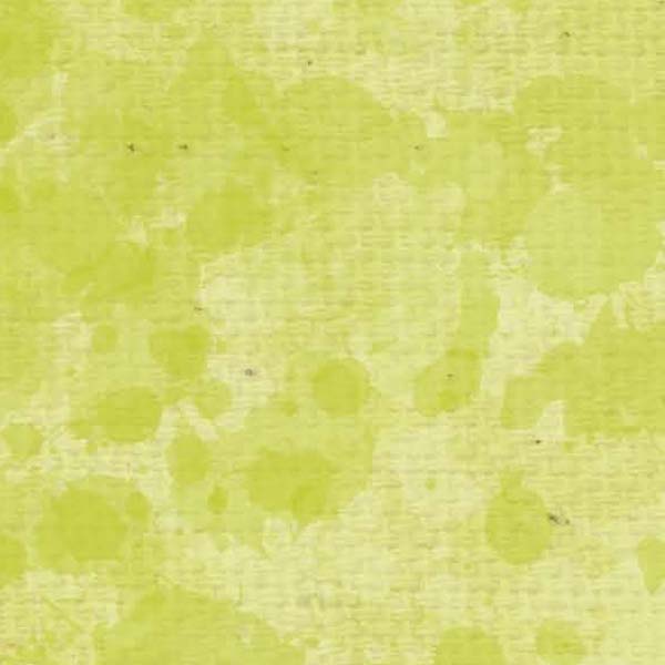 SCSLF - Lime Fizz Splash