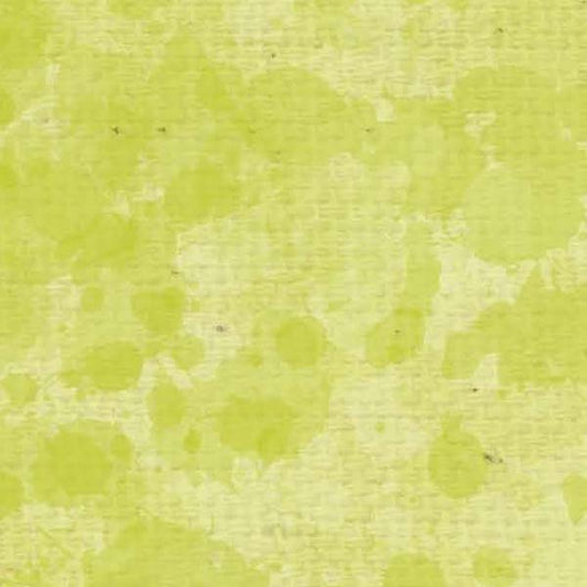 SCSLF - Lime Fizz Splash