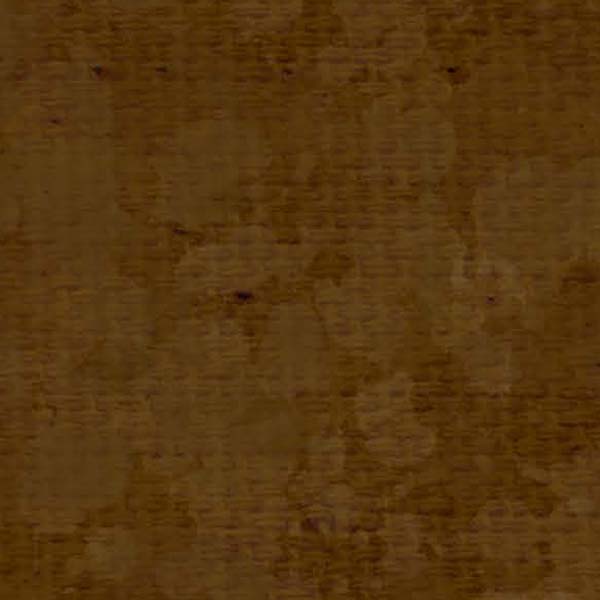 SCSMP - Mud Pie Splash