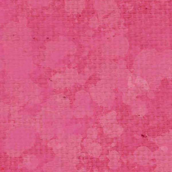 SCSPPE - Pink Peonies Splash