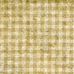 AGE - Aged Mini Gingham