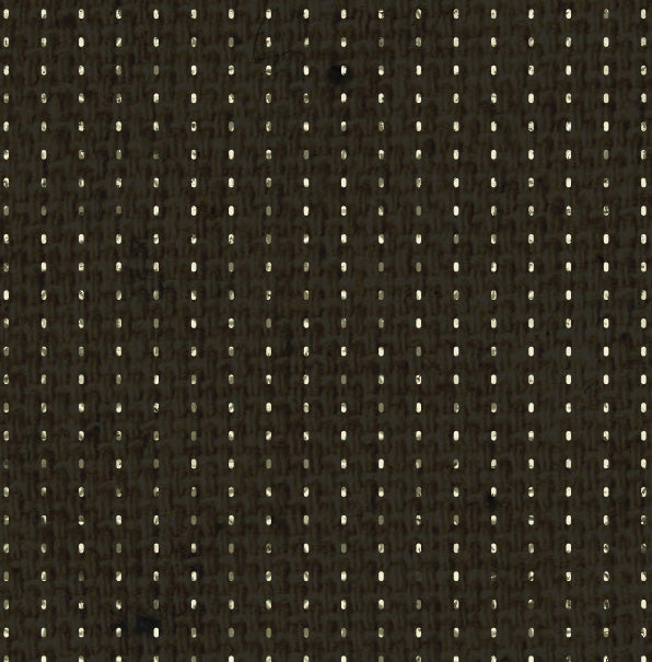 Dotted Stripes Blackbird