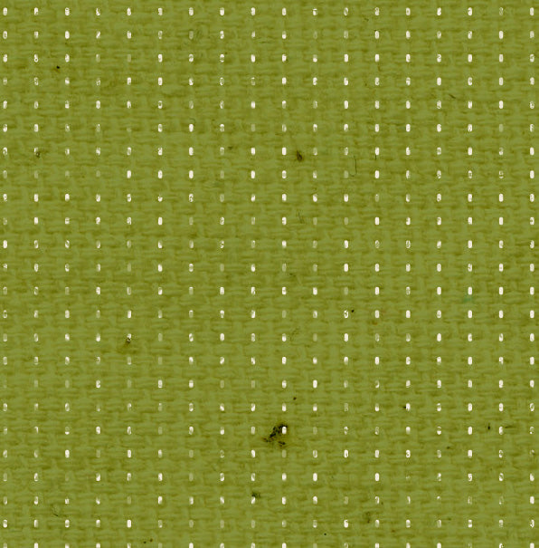 Dotted Stripes Inch Worm