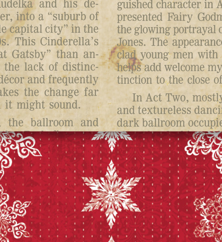 Ladybug Blizzard and Newsprint