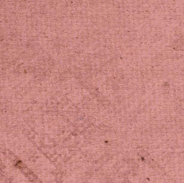 ********Pink Geranium Grunge 65# Cardstock
