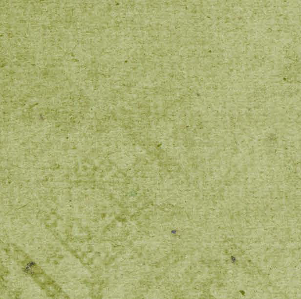 Inch Worm Grunge 65# Cardstock