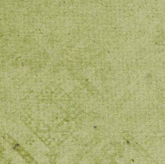 Inch Worm Grunge 65# Cardstock