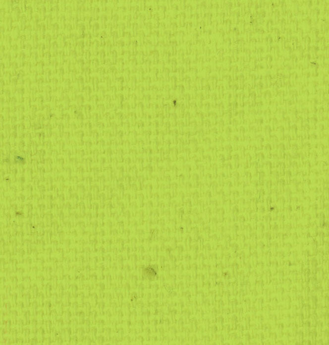 CA - Canvas Green  8 1/2 x 11