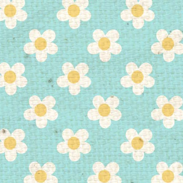 HSBLBBB - Bluebird Baby Blooms Paper 8 1/2 x 11