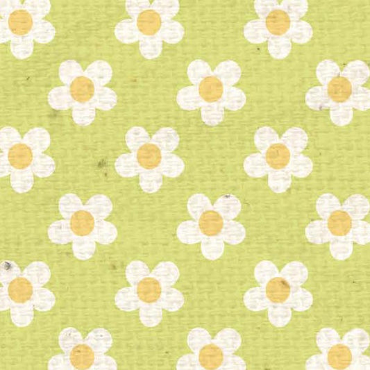 HSSPBB - Sweet Pea Baby Blooms Paper  8 1/2 x 11