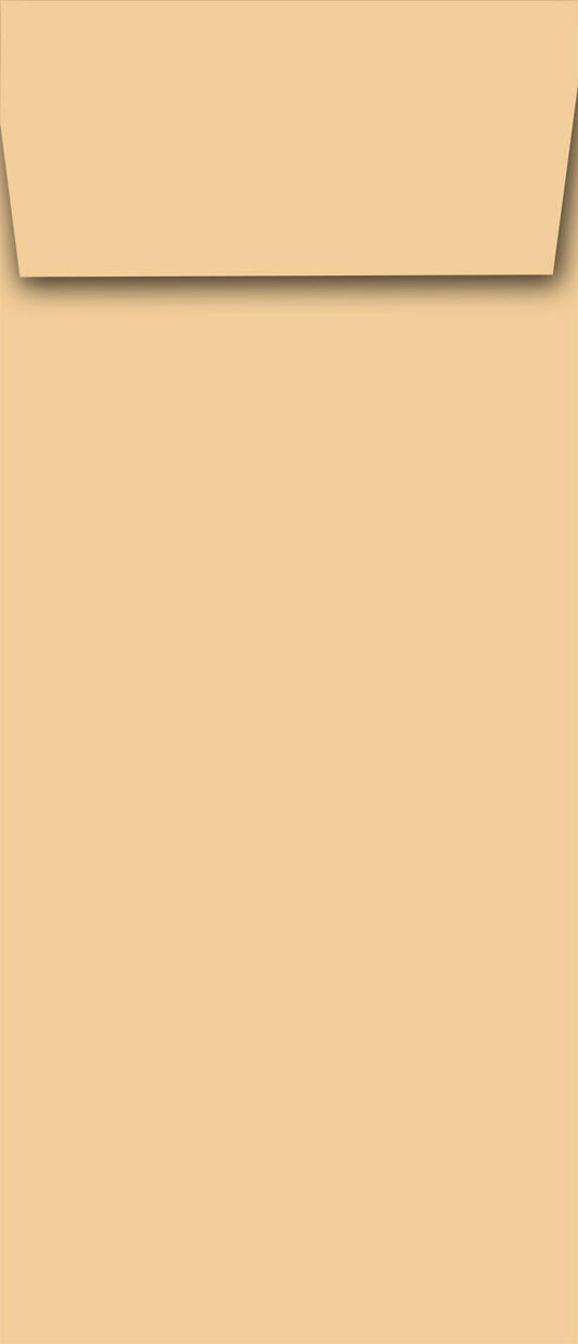 Lengthy Notes - Cashew Envelopes