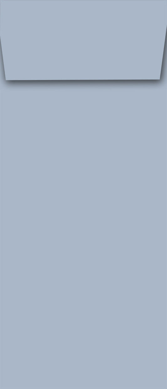 Lengthy Notes - Forget Me Not Envelopes