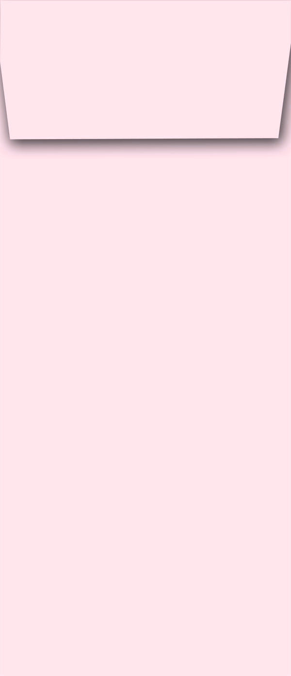 Lengthy Notes - Petal Pink Envelopes