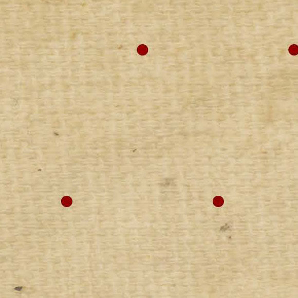 OGTSRTD8 - Old Glory Tea Stained Red Tiny Dots