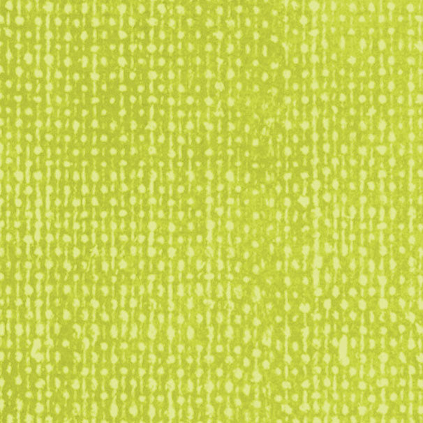 ARTLFFG - Lime Fizz Fresh Gesso