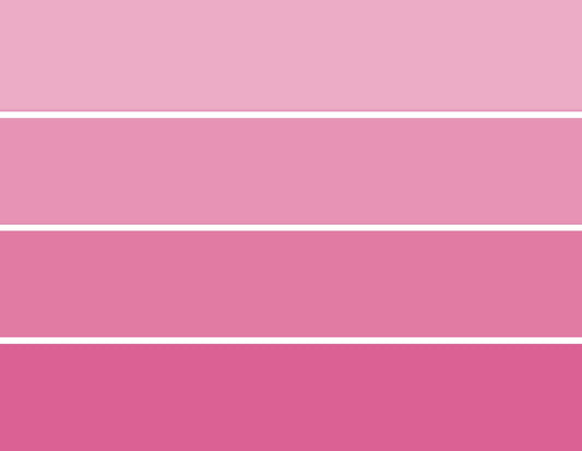 PCCPPE - Paint Chip Cards Pink Peonies - 10 card pack