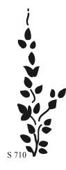 S710 - Vine