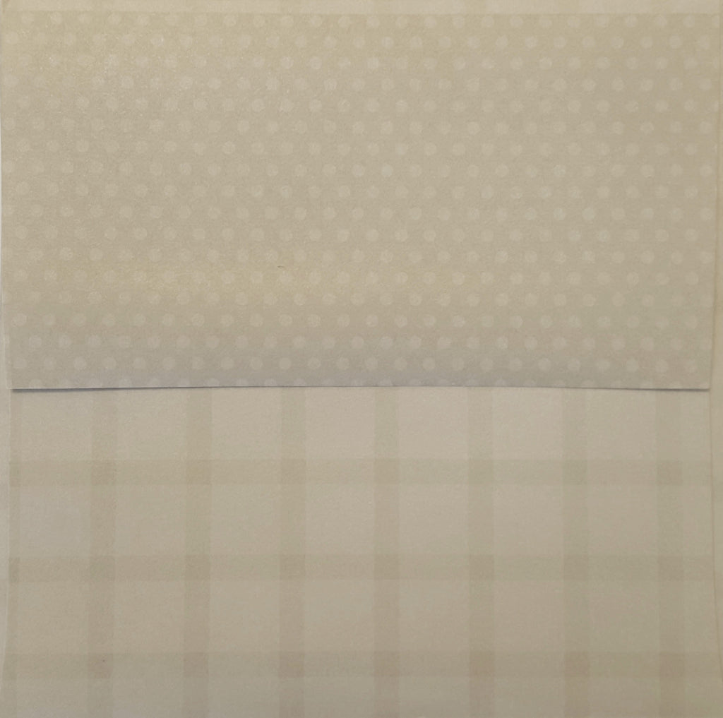 Simply Square Oatmeal Envelopes