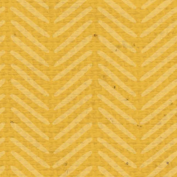 ZZYD - Zig Zag Yellow Daisies