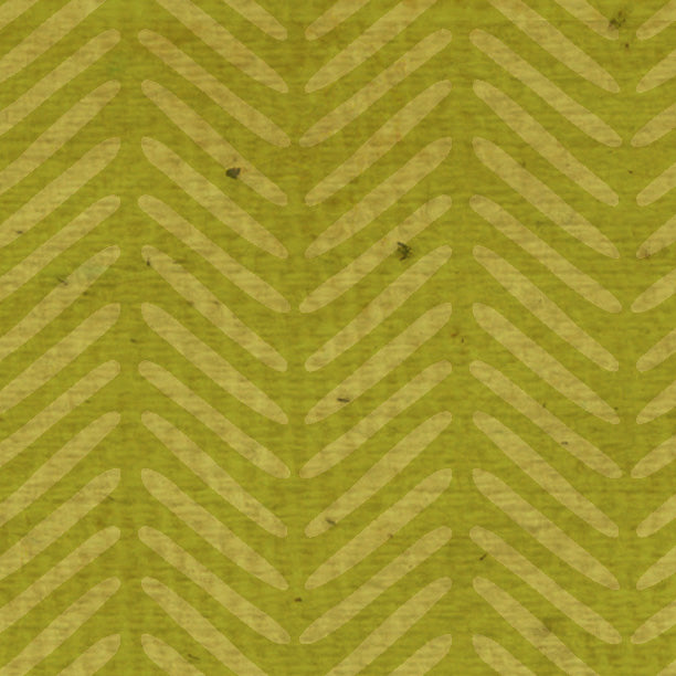 ZZGO ZigZag - Green Olive