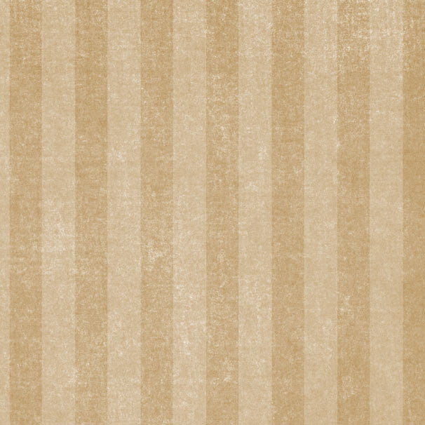TTCS8 - Toadstool Tan Chalky Stripes 8 1/2 x 11 - One Sheet