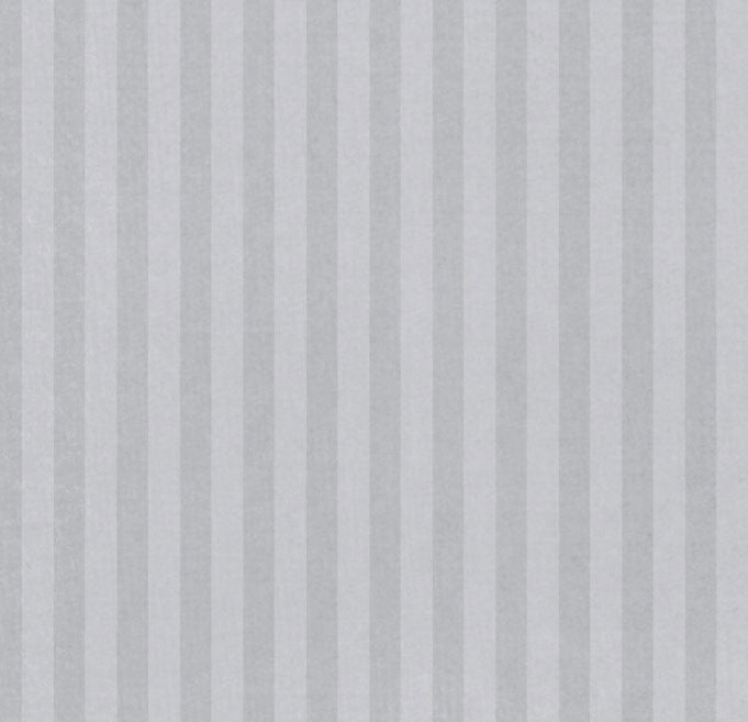 WCST81 Watering Can Stripes 8 1/2 x 11 - One Sheet 25-20
