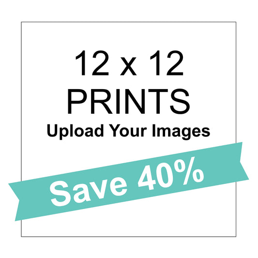 12 x 12 Color Prints