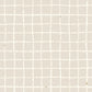 Baby's Breath Doodle Graph Cardstock 37-103