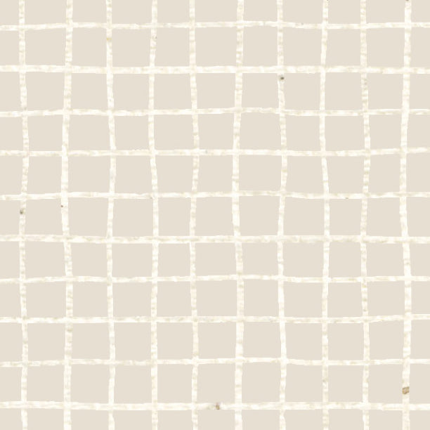 Baby's Breath Doodle Graph Cardstock 37-103